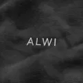Close-up of the dense, precision-embroidered Alwi logo